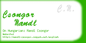 csongor mandl business card